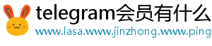 telegram会员有什么用